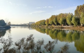 周口建业天悦——植物园畔的森居生活